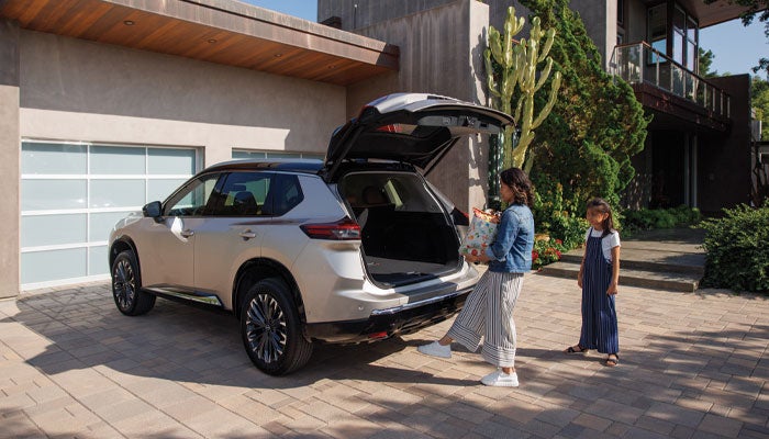 NissanDemo5 in Derwood MD