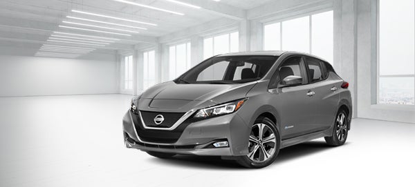 New 2019 Leaf